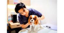 ฮาโตะ รุกธุรกิจโรงพยาบาลสัตว์ เปิดตัว Hato Animal Hospital สาขารังสิต ดึงความเชี่ยวชาญด้านการป้องกันโรค ต่อยอดสู่การรักษาและบริการสุขภาพครบวงจร