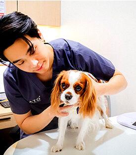 ฮาโตะ รุกธุรกิจโรงพยาบาลสัตว์ เปิดตัว Hato Animal Hospital สาขารังสิต ดึงความเชี่ยวชาญด้านการป้องกันโรค ต่อยอดสู่การรักษาและบริการสุขภาพครบวงจร
