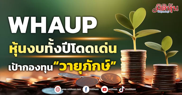 WHAUP หุ้นงบทั้งปีโดดเด่น เป้ากองทุน“วายุภักษ์”
