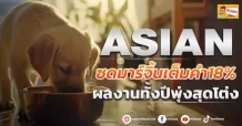 (ข่าวเจาะ) ASIAN  ซดมาร์จิ้นเต็มคำ18%  ผลงานทั้งปีพุ่งสุดโต่ง
