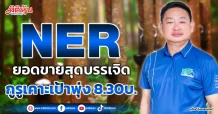 NER  ยอดขายสุดบรรเจิด  กูรูเคาะเป้าพุ่ง 8.30บ.