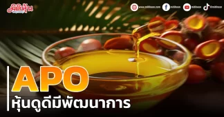APO หุ้นดูดีมีพัฒนาการ