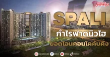 SPALI กำไรฟาดนิวไฮ ยอดโอนคอนโคคับคั่ง