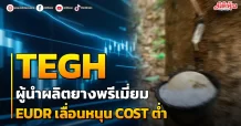 TEGH  ผู้นำผลิตยางพรีเมี่ยม EUDRเลื่อนหนุนCOSTต่ำ