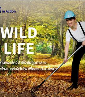 กรุงไทย–แอกซ่า ประกันชีวิต ขอเชิญชวนร่วม กิจกรรม “Wild Life ป่าไม้ บ้านของสัตว์ป่าต้องไม่ถูกทำลาย” จากแคมเปญ Commit To Climate ปีที่ 3