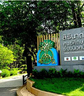 ศูนย์ฯ สิรินาถราชินี สถาบันปลูกป่าและระบบนิเวศ ปตท. รับประกาศเกียรติคุณโครงการสนับสนุนกิจกรรมลดก๊าซเรือนกระจก