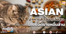 (ข่าวเจาะ) ASIAN อาหารสัตว์มาร์จิ้นสูง โกยยอดขายหมื่นล้าน
