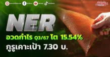NER อวดกำไร Q3/67 โต 15.54% กูรูเคาะเป้า 7.30 บ.