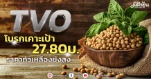 TVO โบรกเคาะเป้า27.80บ. ราคาถั่วเหลืองยังสูง