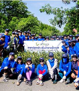 พนักงานจิตอาสา TTA ร่วมปลูกป่าชายเลน เพิ่มพื้นที่สีเขียวและฟื้นฟูปอดของประเทศ