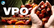 เด็กแนว (เช้า) VPO : โอกาสของหุ้นปาล์ม