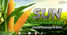 SUN  โบรกสานเสียงเชียร์  เทรดPEแสนถูก9.8เท่า