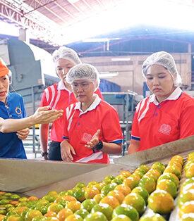 โก โฮลเซลล์ เปิดฤดูกาลส้มสายน้ำผึ้งรับลมหนาว ชูความปลอดภัยตลอดห่วงโซ่ ส่งตรงจากแหล่งดัง อ.ฝาง จ.เชียงใหม่ ช่วยเกษตรกรกระจายผลผลิตทั่วประเทศ