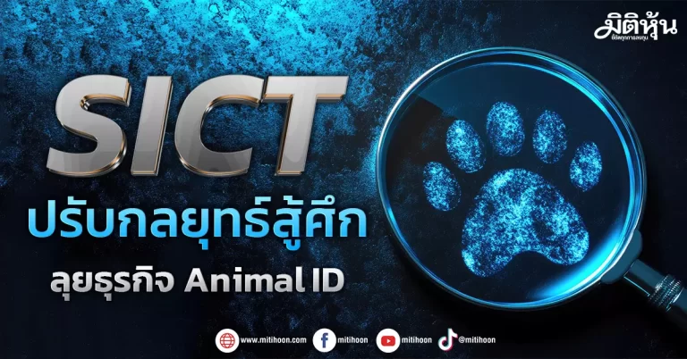 SICT  ปรับกลยุทธ์สู้ศึก  ลุยธุรกิจ Animal ID