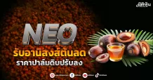 NEO รับอานิสงส์ต้นลด ราคาปาล์มดิบปรับลง
