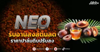 NEO รับอานิสงส์ต้นลด ราคาปาล์มดิบปรับลง