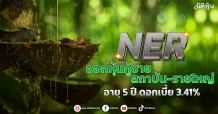 NER ออกหุ้นกู้ขายสถาบัน-รายใหญ่ อายุ 5 ปี ดอกเบี้ย 3.41%