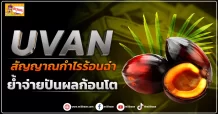 (ข่าวเจาะ) UVAN สัญญาณกำไรร้อนฉ่า ย้ำจ่ายปันผลก้อนโต