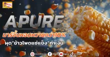 (ข่าวเจาะ) APURE  มาร์จิ้นหอมหวานกว่า10%  ผุด“ข้าวโพดแช่แข็ง”ทำเงิน