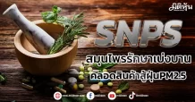 SNPS  รัฐหนุนใช้สมุนไพรรักษาเบ่งบาน คลอดสินค้าสู้ฝุ่นPM2.5