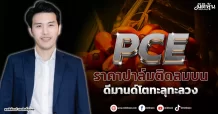 PCE ราคาปาล์มติดลมบน ดีมานด์โตทะลุทะลวง