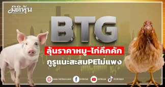BTG ลุ้นราคาหมู-ไก่คึกคัก กูรูแนะสะสมPEไม่แพง