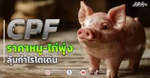 CPF ราคาหมู-ไก่พุ่ง ลุ้นกำไรโตเด่น