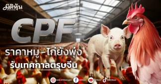 CPF ราคาหมู- ไก่ยังพุ่ง รับเทศกาลตรุษจีน