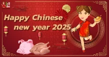 Happy Chinese new year 2025