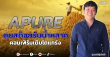 APURE  ตุนสต็อกรับน้ำหลาก คอนเฟิร์มเติบโตแกร่ง