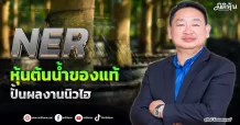 NER  หุ้นต้นน้ำของแท้  ปั้นผลงานนิวไฮ