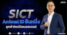 SICT  Animal IDยืนหนึ่ง  ลูกค้าใหม่ป้อนออเดอร์