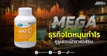 MEGA ธุรกิจโตหนุนกำไร กูรูเคาะเป้าราคา 45 บ.