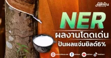 NER ผลงานโดดเด่น ปันผลแจ่มยิลด์6%