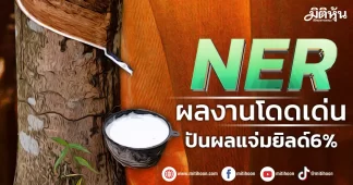 NER ผลงานโดดเด่น ปันผลแจ่มยิลด์6%