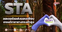 STA  ออเดอร์รอส่งมอบเพียบ  เทรนด์ราคายางทรงตัวสูง