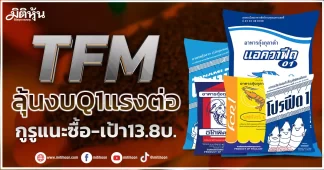 TFM ลุ้นงบQ1แรงต่อ กูรูแนะซื้อ-เป้า13.8บ.