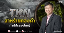 TKN  สาหร่ายทองคำ  ทำกำไรรอบใหญ่