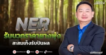 NER  รับบวกราคายางพุ่ง  สะสมเก็งรับปันผล