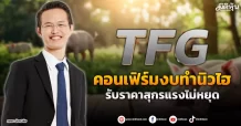 TFG  คอนเฟิร์มงบทำนิวไฮ  รับราคาสุกรแรงไม่หยุด