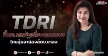 TDRI ชี้ศก.สหรัฐเสี่ยงถดถอย ไทยลุ้นอานิสงส์ดบ.ขาลง