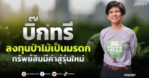 บิ๊กทรี  ลงทุนป่าไม้เป็นมรดก  ทรัพย์สินมีค่าสู่รุ่นใหม่