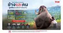 13 มีนาคม วันช้างไทย ทรู คอร์ปอเรชั่นนำโซลูชัน TSEWS ลดความขัดแย้ง เชื่อมความผูกพันช้างกับคนสู่การอยู่ร่วมกันอย่างยั่งยืนในยุคดิจิทัล