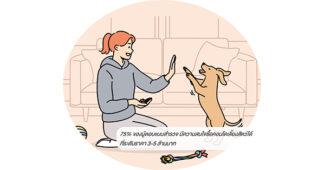 “แอล ดับเบิลยู เอสฯ” ระบุคอนโดมิเนียมเลี้ยงสัตว์มาแรง กำลังซื้อสูง