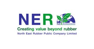 6 โบรกมั่นใจ “NER” แนวโน้มโตตามเป้า