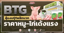 BTG ลุ้นงบQ1พลิกบวก ราคาหมู-ไก่เด้งแรง