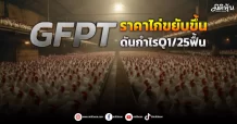 GFPT ราคาไก่ขยับขึ้น ดันกำไรQ1/25ฟื้น
