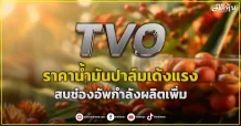 TVO ราคาน้ำมันปาล์มเด้งแรง สบช่องอัพกำลังผลิตเพิ่ม