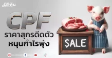 CPF ราคาสุกรดีดตัว หนุนกำไรพุ่ง