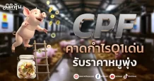 CPF คาดกำไรQ1เด่น รับราคาหมูพุ่ง